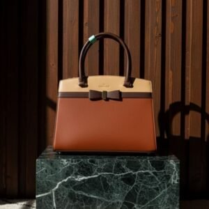 Beige with Dark Brown Handbag